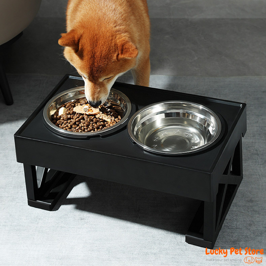 Dog Double Elevated Bowls Table