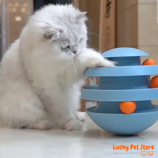 Interactive Turntable Pet Toy with Roller Balls